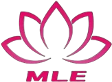 نینگبو  MLE  برق  لوازم خانگی  شرکت،  Ltd.